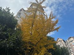 -合生城邦四街坊