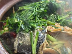 -九道菜有鸡鱼头(石鼓路店)
