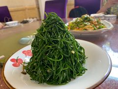 炝拌沙葱-国强手抓(北京西路店)