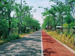 -前小桔亲子创意农场·草莓采摘·露营烧烤