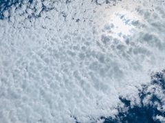 -望湘园·洞庭渔宴(永旺店)