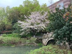 -玉山公园