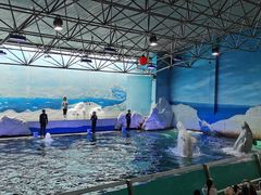 -秦皇岛乐岛海洋王国