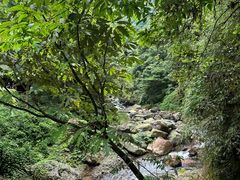 -西岭雪山大飞水景区