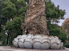 -永安龟山公园