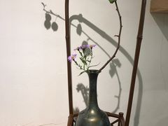 -茶是一枝花泡茶店