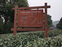 -西湖风景区十里琅珰-五云山