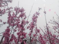 -南京市江宁方山