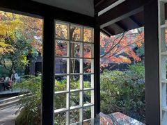 -中国茶叶博物馆(双峰馆区)