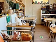 -小时光咖啡馆(开森度假森林店)