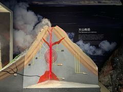 -正佳自然科学博物馆