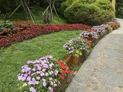 -庐山风景区花径公园