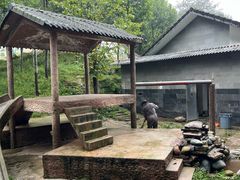-中国大熊猫保护研究中心雅安碧峰峡基地
