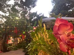 -火咂咂竹筒宴(告庄店)