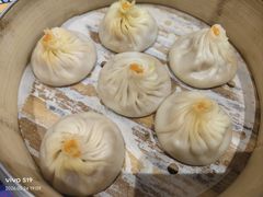 -小杨生煎(深圳岗厦北店)
