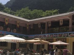 -青峰峡国家森林公园