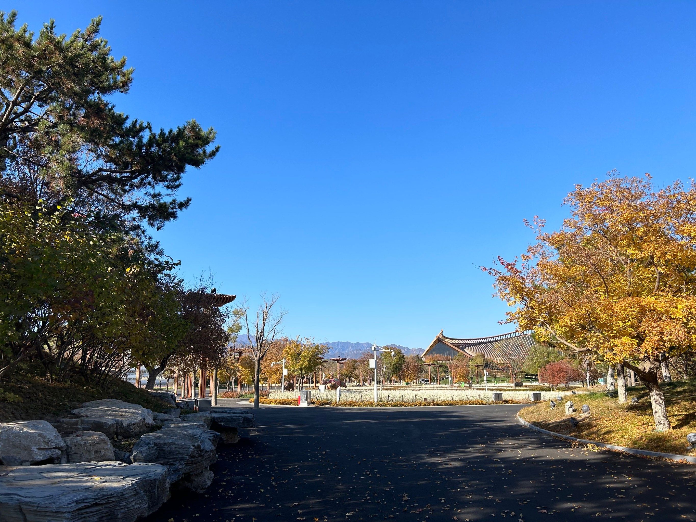 北京世园公园一号门这儿