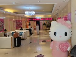 -北京俪婴妇产医院(朝阳大悦城店)