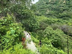 -大岭沟猕猴桃谷风景区