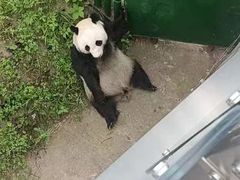 -沈阳森林动物园