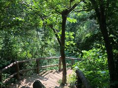 -木兰云雾山