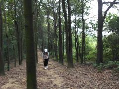 -火炉山森林公园