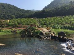 -广州市石门国家森林公园