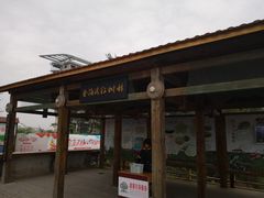 -北海金海湾红树林生态旅游区