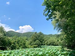 -八卦田遗址公园