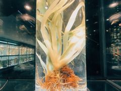 -广东中医药博物馆