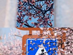 -常德桃花源景区