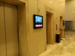 -广州萨谛艾扬格瑜伽中心