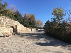 -府君山公园
