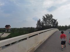 -东郊湿地公园