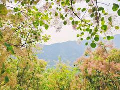 -周口店坡峰岭风景区