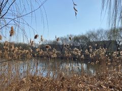 -济南大明湖景区