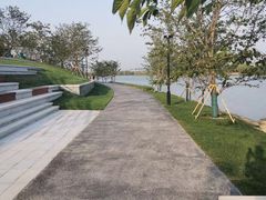 -羊山湖公园