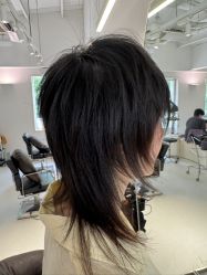 -SALON DE VANHADA