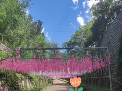 -北京十三陵国家森林公园蟒山景区