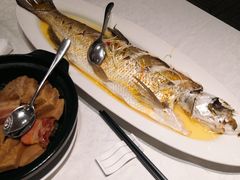 鸡汁大白鱼-颂福楼·南京菜(定淮门店)
