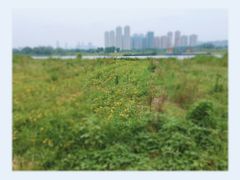 -汉江湾体育公园