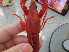 -仙螺岛海鲜自助餐厅(总店)