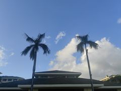 -渔家火锅·海鲜自助餐·演艺(亚龙湾天域酒店)