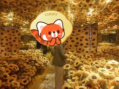 -成都梵高星空艺术馆(春熙路旗舰店)