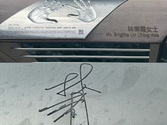 -星光大道