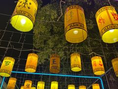 -光明农场大观园