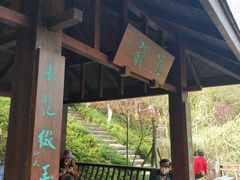 -重庆彩云湖湿地公园