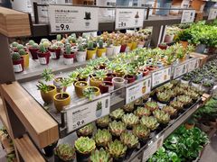 -鹿岛生活(熙地港店)