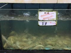 水产区-秋姐美食店(旅游大道店)
