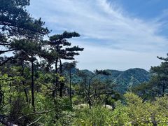 -沂蒙山旅游区云蒙景区(蒙山国家森林公园)